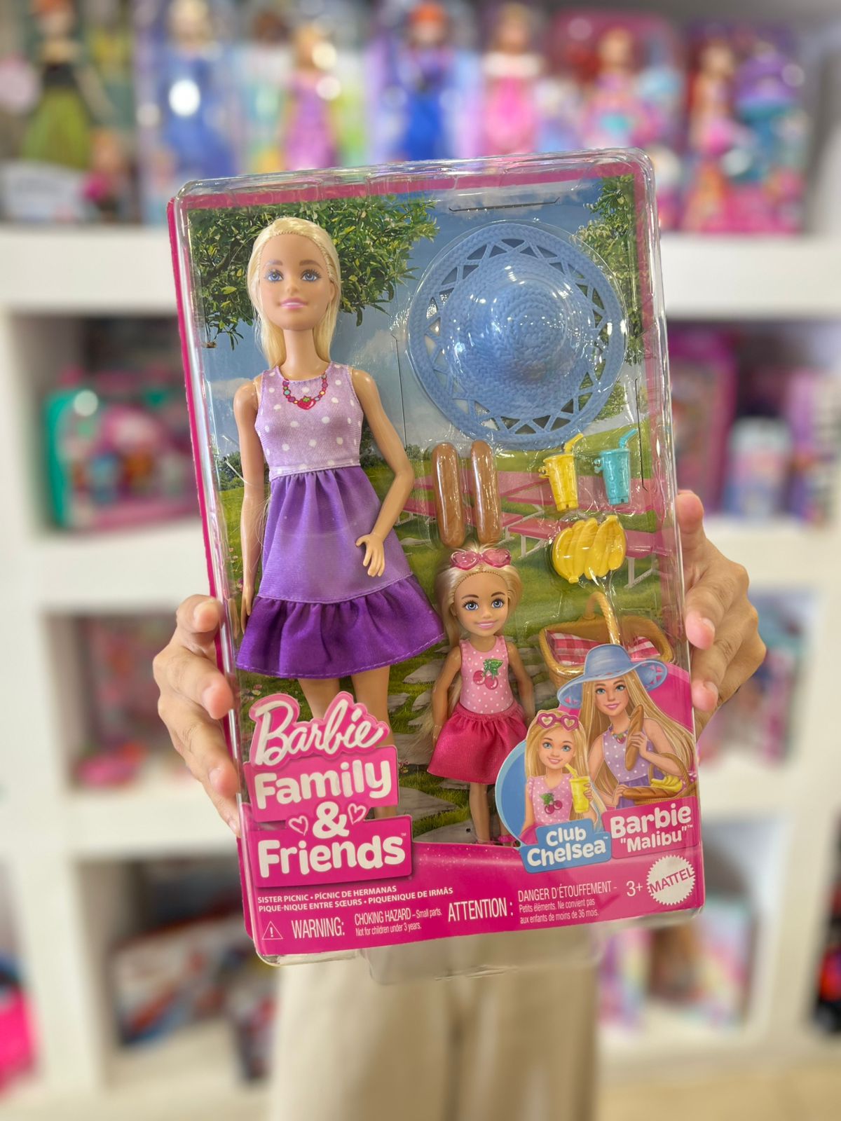 BARBIE PICNIC MALIBÙ Y CHELSEA MATTEL